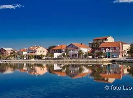 Roko Kolinda ביבינייה