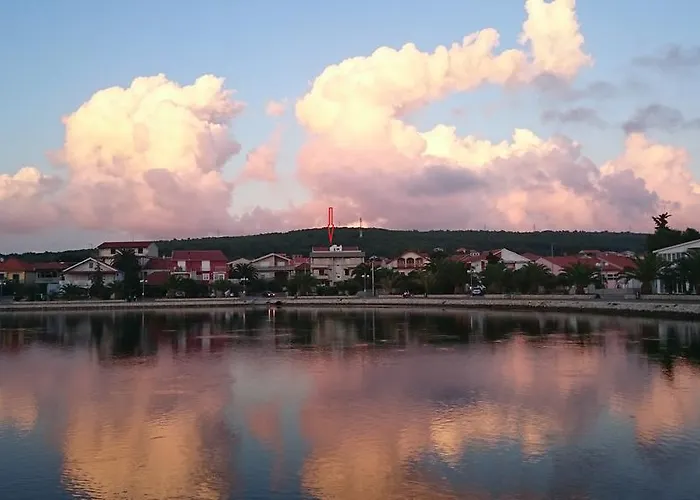 Roko Kolinda * 비빈제